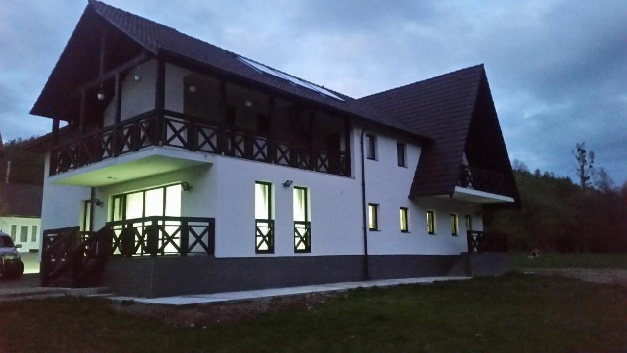 Pensiunea Steaua Nordului Vanatori  Exterior foto