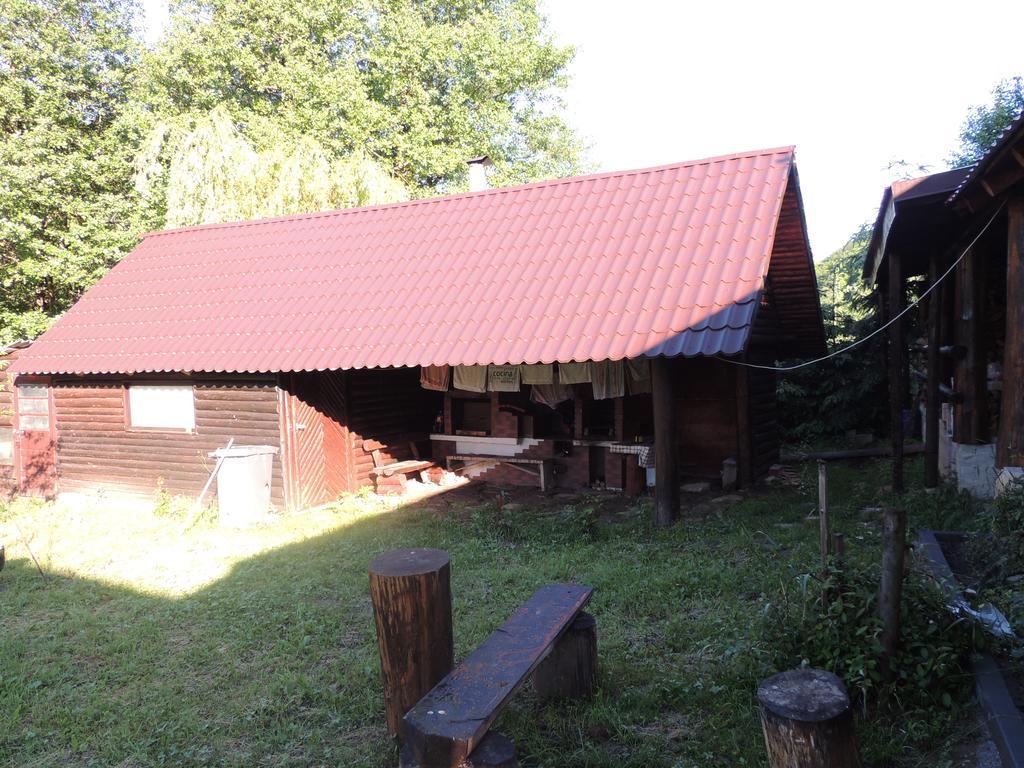 Pensiunea Steaua Nordului Vanatori  Exterior foto