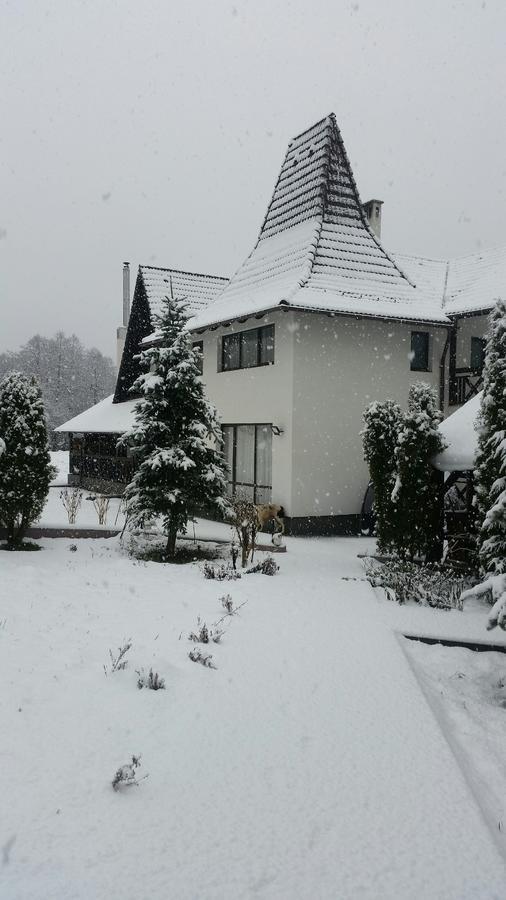 Pensiunea Steaua Nordului Vanatori  Exterior foto
