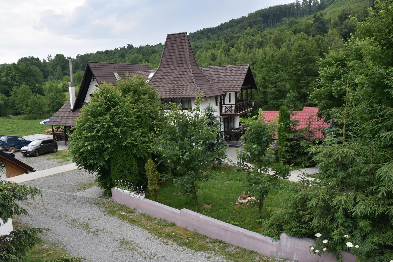 Pensiunea Steaua Nordului Vanatori  Exterior foto