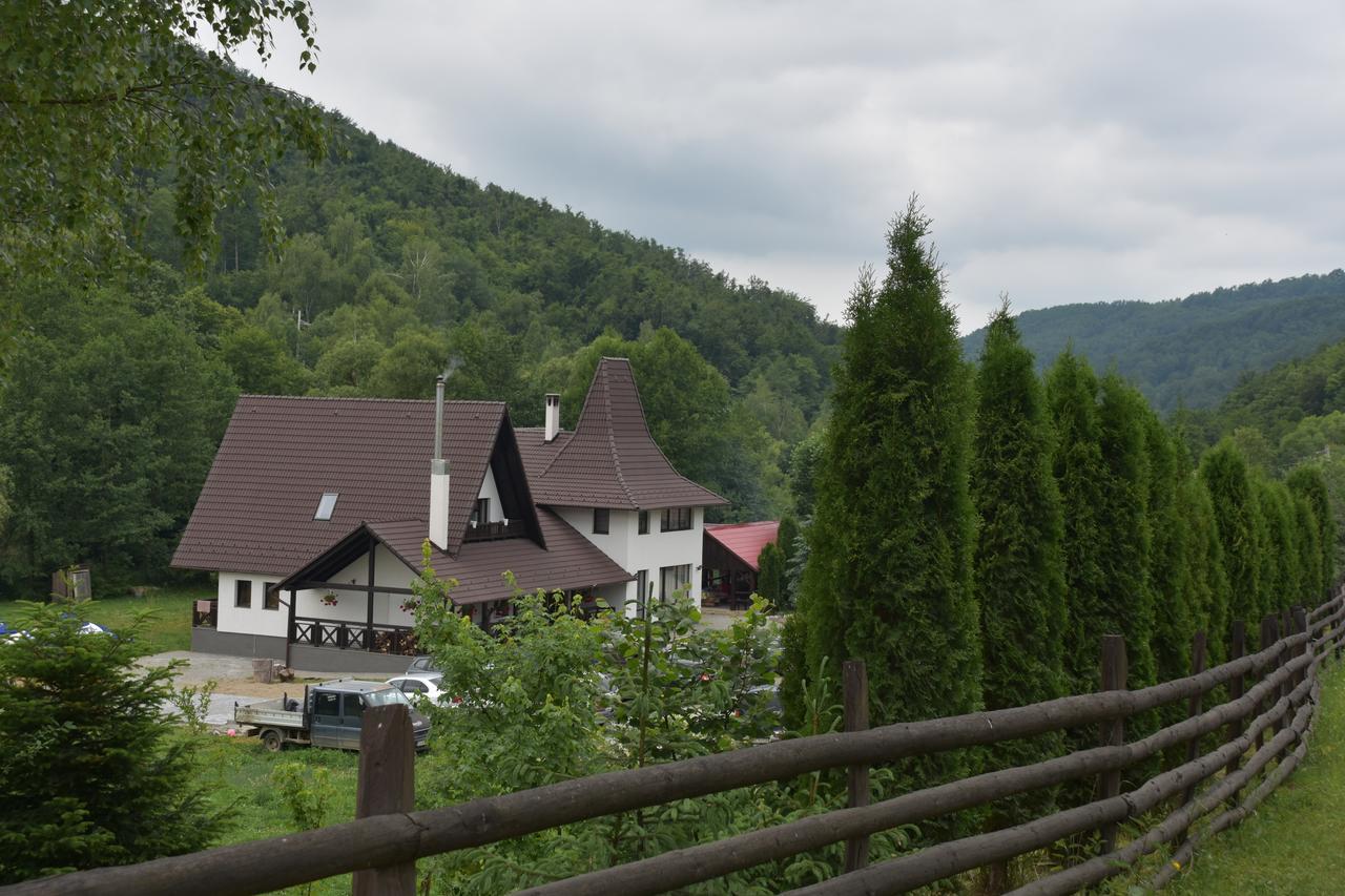 Pensiunea Steaua Nordului Vanatori  Exterior foto