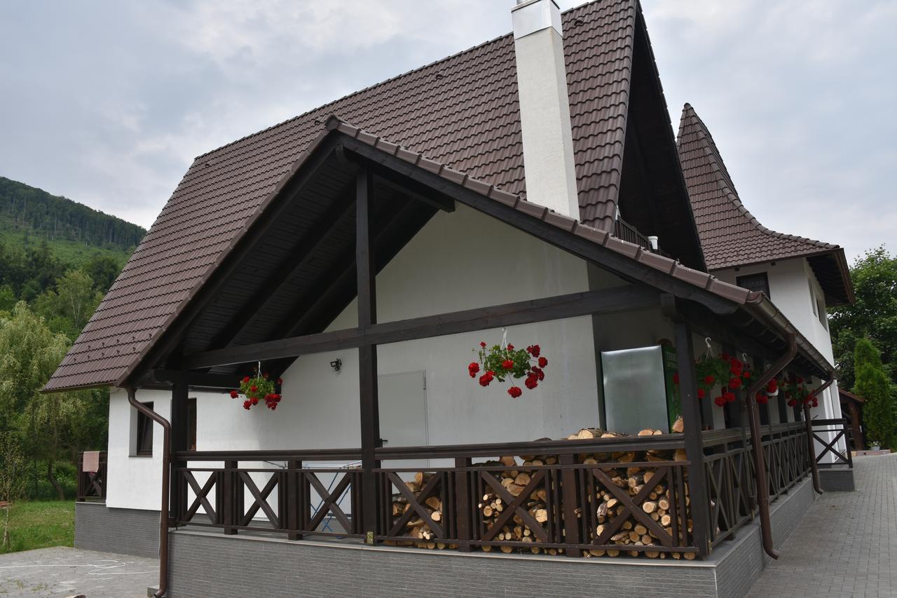 Pensiunea Steaua Nordului Vanatori  Exterior foto