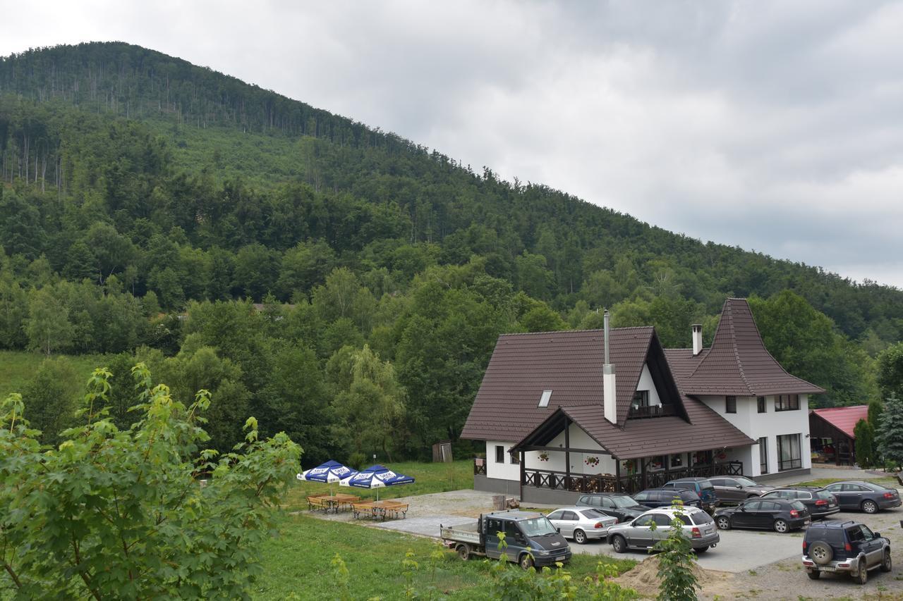 Pensiunea Steaua Nordului Vanatori  Exterior foto