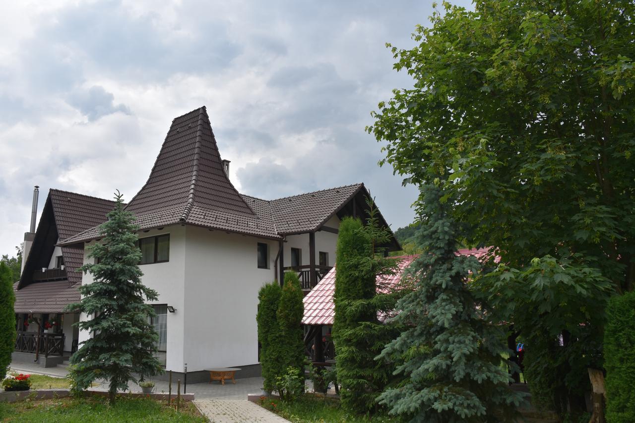 Pensiunea Steaua Nordului Vanatori  Exterior foto